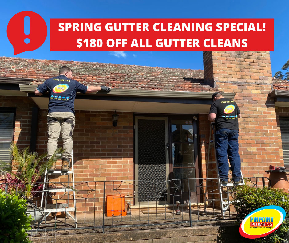 Spring Gutter Cleaning Special